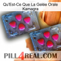 What Is Kamagra Oral Jelly 14